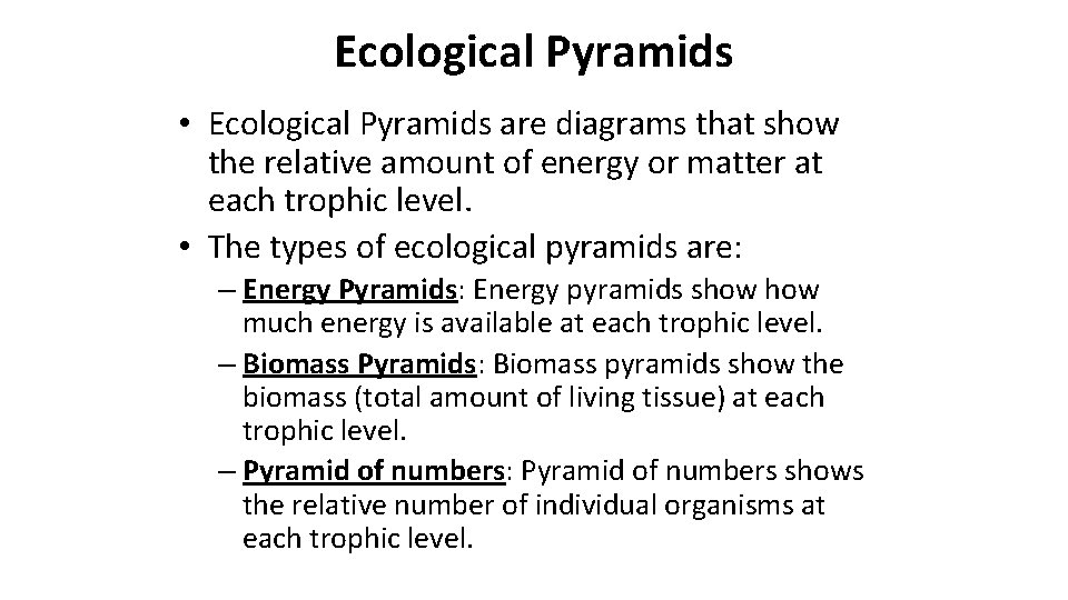 Ecological Pyramids • Ecological Pyramids are diagrams that show the relative amount of energy