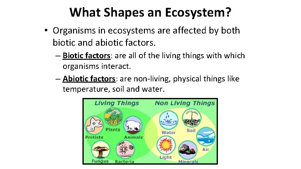 What Shapes an Ecosystem? • Organisms in ecosystems are affected by both biotic and