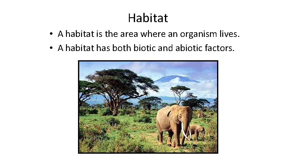 Habitat • A habitat is the area where an organism lives. • A habitat