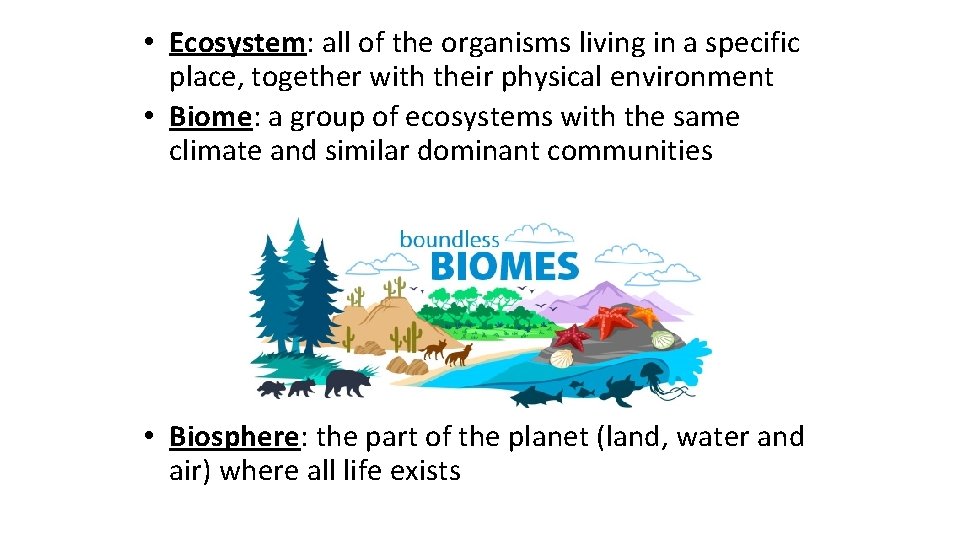  • Ecosystem: all of the organisms living in a specific place, together with