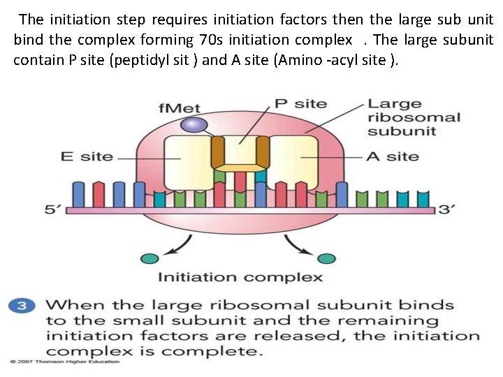 The initiation step requires initiation factors then the large sub unit bind the complex