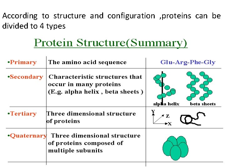 According to structure and configuration , proteins can be divided to 4 types 