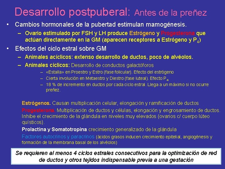 Desarrollo postpuberal: Antes de la preñez • Cambios hormonales de la pubertad estimulan mamogénesis.