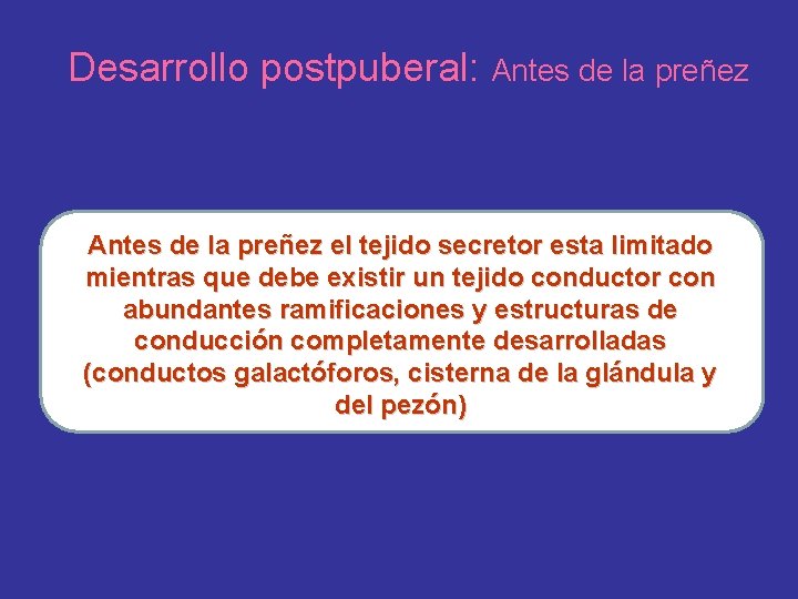 Desarrollo postpuberal: Antes de la preñez el tejido secretor esta limitado mientras que debe