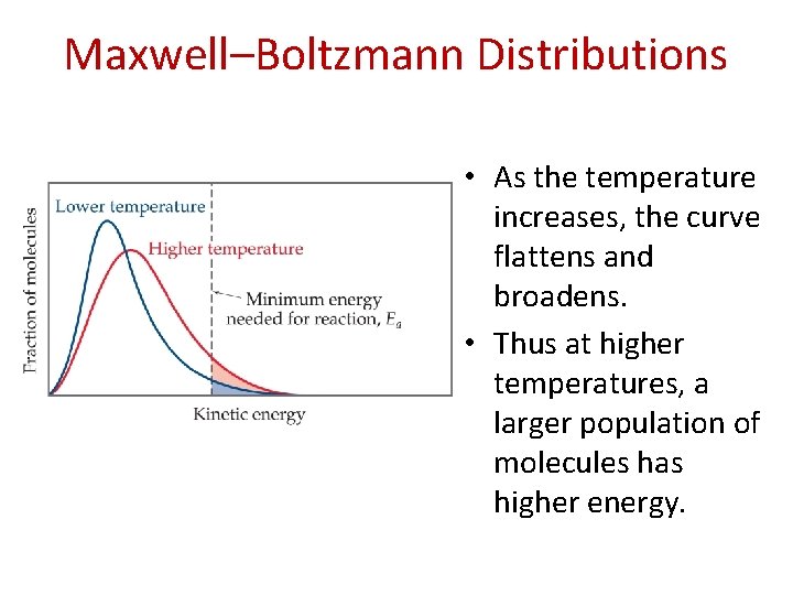 Maxwell–Boltzmann Distributions • As the temperature increases, the curve flattens and broadens. • Thus