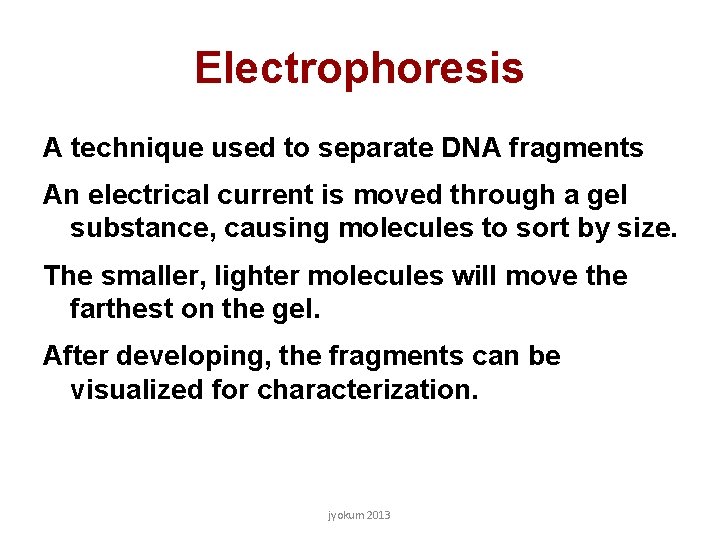 Electrophoresis A technique used to separate DNA fragments An electrical current is moved through Electrophoresis A technique used to separate DNA fragments An electrical current is moved through