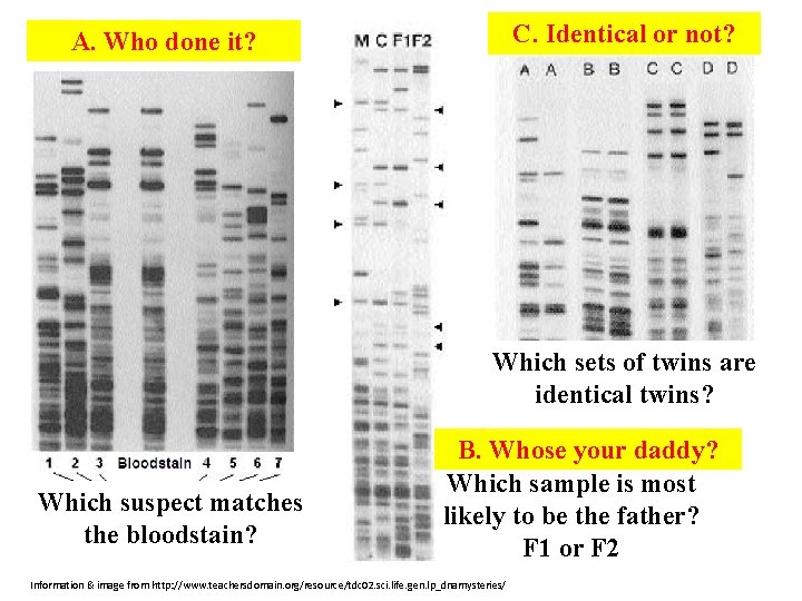 C. Identical or not? A. Who done it? Which sets of twins are identical