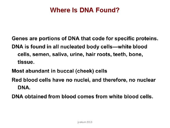 Where Is DNA Found? jyokum 2013 