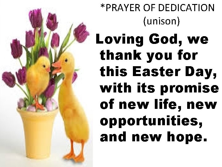 *PRAYER OF DEDICATION (unison) Loving God, we thank you for this Easter Day, with