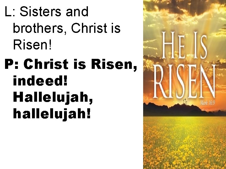 L: Sisters and brothers, Christ is Risen! P: Christ is Risen, indeed! Hallelujah, hallelujah!