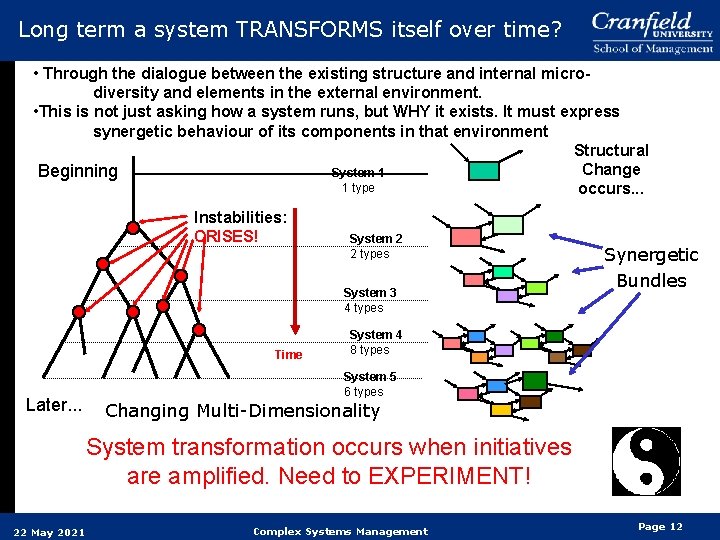 Long term a system TRANSFORMS itself over time? • Through the dialogue between the Long term a system TRANSFORMS itself over time? • Through the dialogue between the