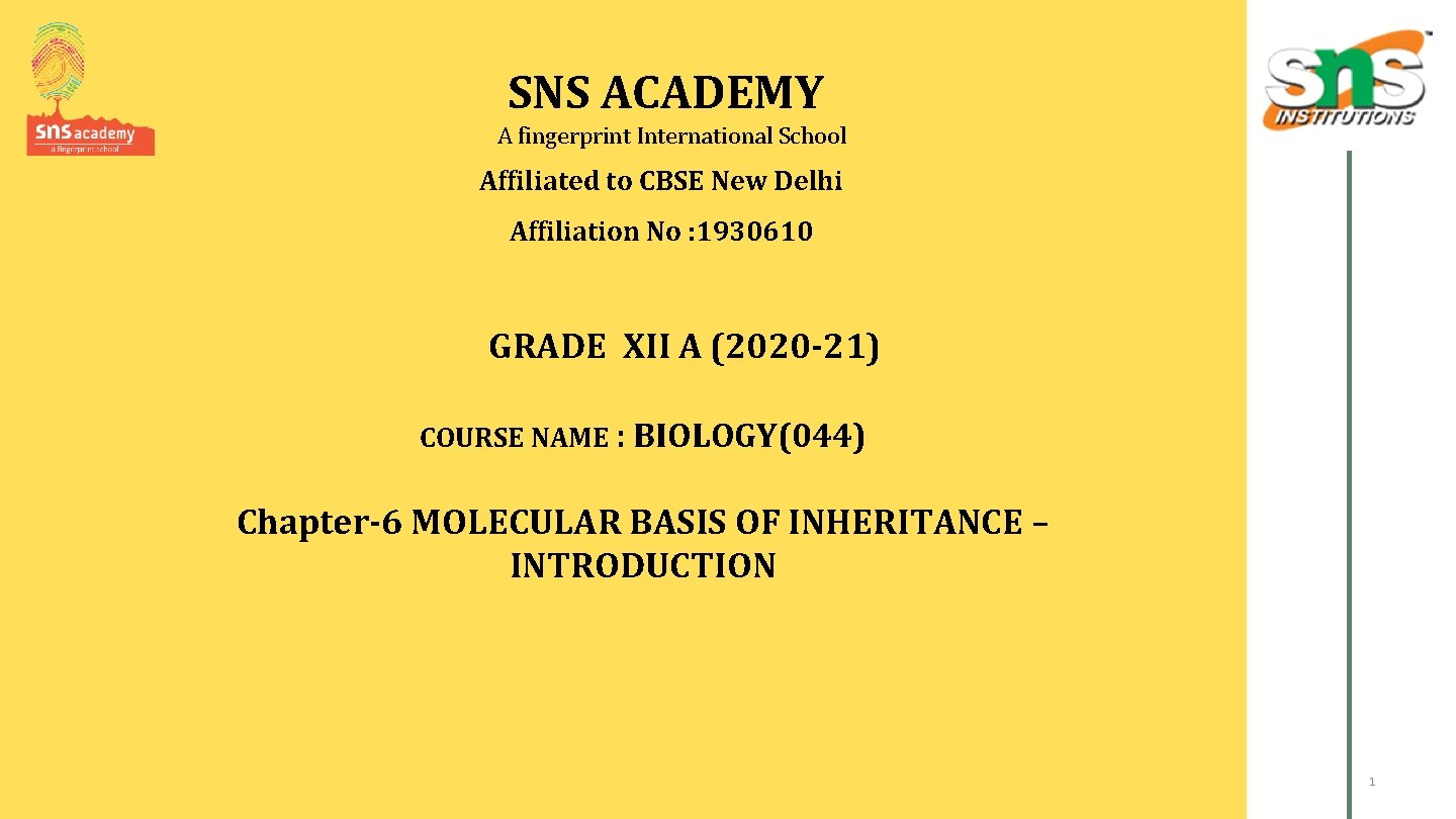 SNS ACADEMY A fingerprint International School Affiliated to CBSE New Delhi Affiliation No :
