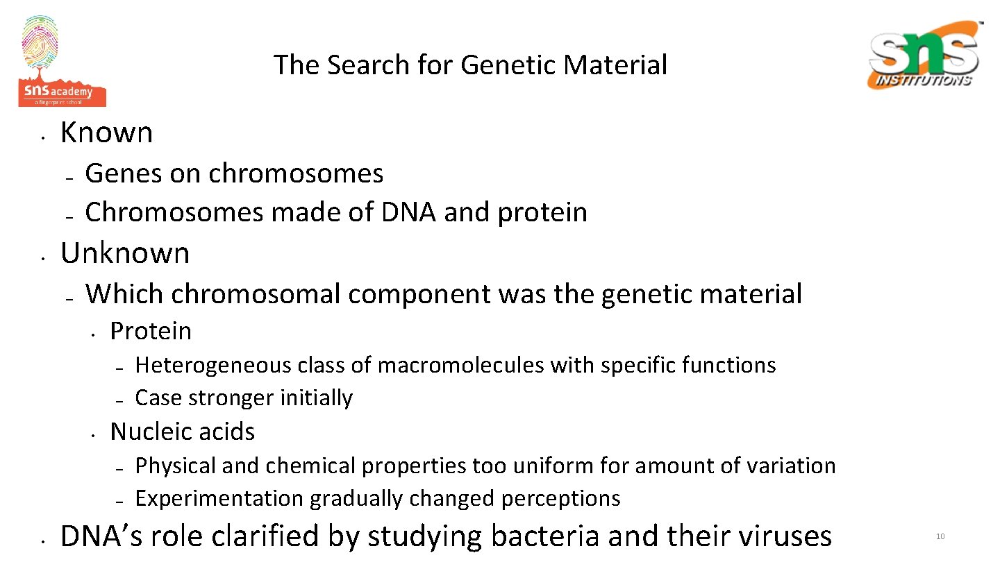 The Search for Genetic Material • Known – – • Genes on chromosomes Chromosomes