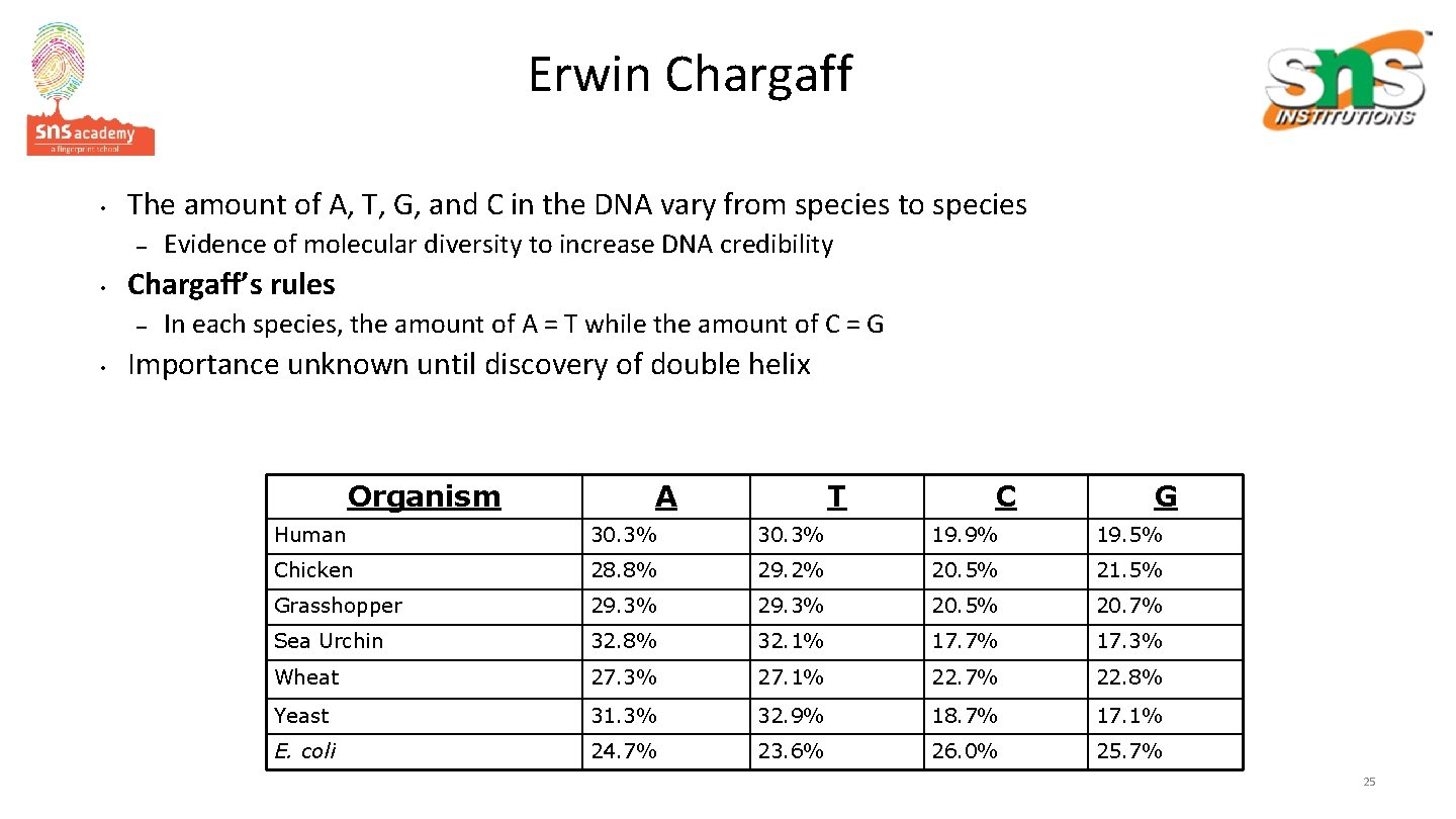 Erwin Chargaff • The amount of A, T, G, and C in the DNA