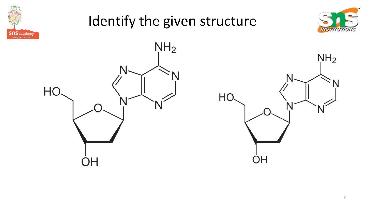 Identify the given structure 3 