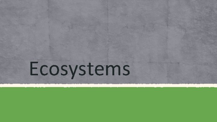 Ecosystems 