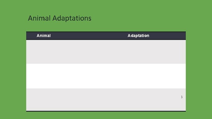 Animal Adaptations Animal Adaptation Mosquito larvae (eggs) can hang upside down from the surface