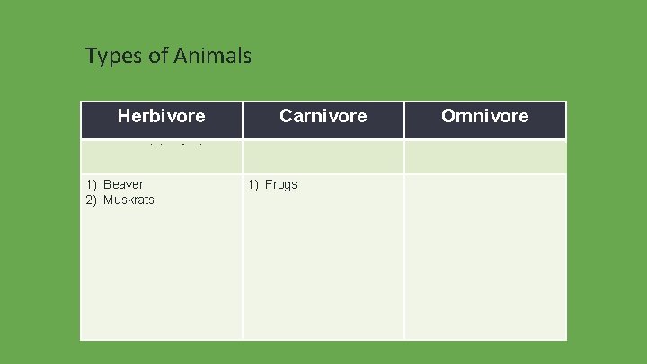 Types of Animals Herbivore Carnivore Omnivore an animal that feeds on plants an animal