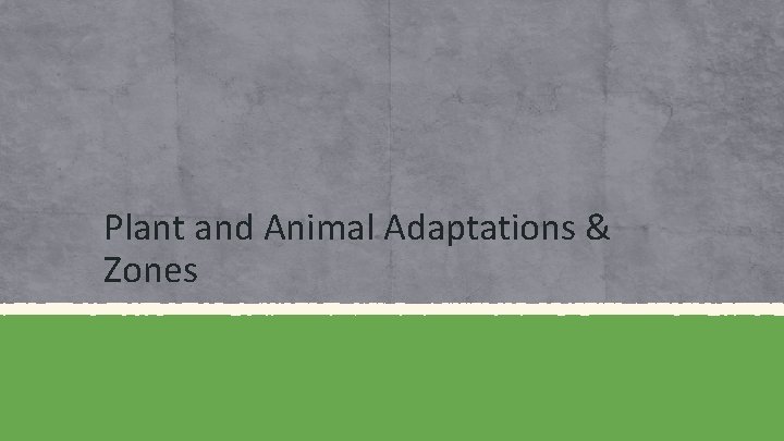 Plant and Animal Adaptations & Zones 