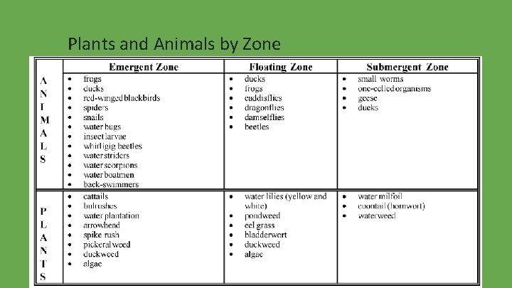 Plants and Animals by Zone 