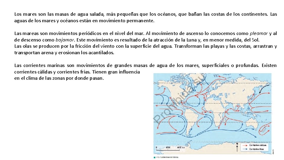 Los mares son las masas de agua salada, más pequeñas que los océanos, que