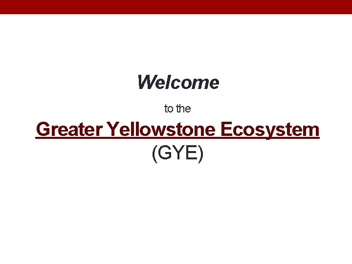 Welcome to the Greater Yellowstone Ecosystem (GYE) 