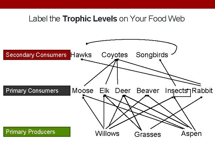 Label the Trophic Levels on Your Food Web Secondary Consumers SECONDARY Hawks Coyotes Songbirds
