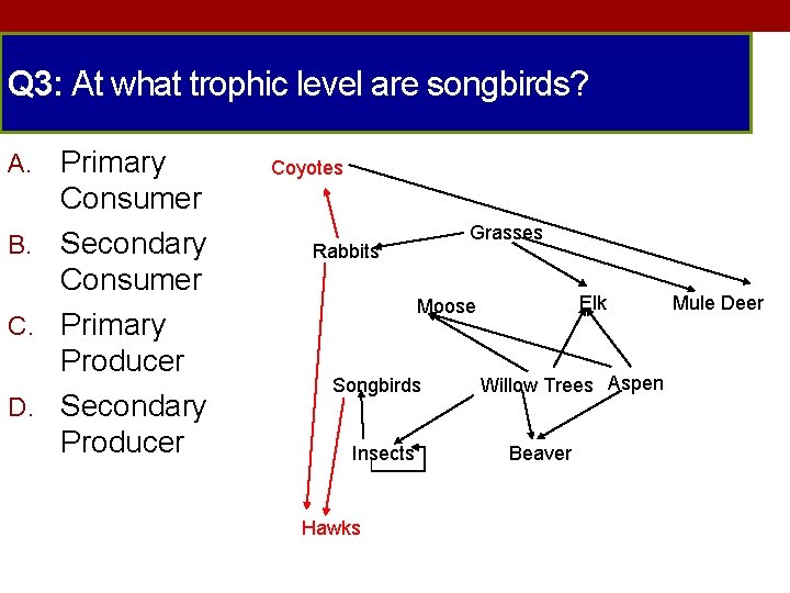 Q 3: At what trophic level are songbirds? Primary Consumer B. Secondary Consumer C.