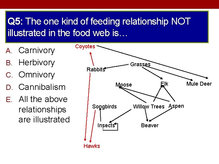 Q 5: The one kind of feeding relationship NOT illustrated in the food web