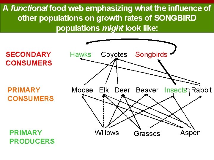 A functional food web emphasizing what the influence of other populations on growth rates