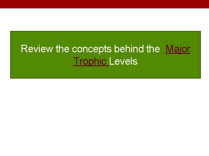 Review the concepts behind the Major Trophic Levels 