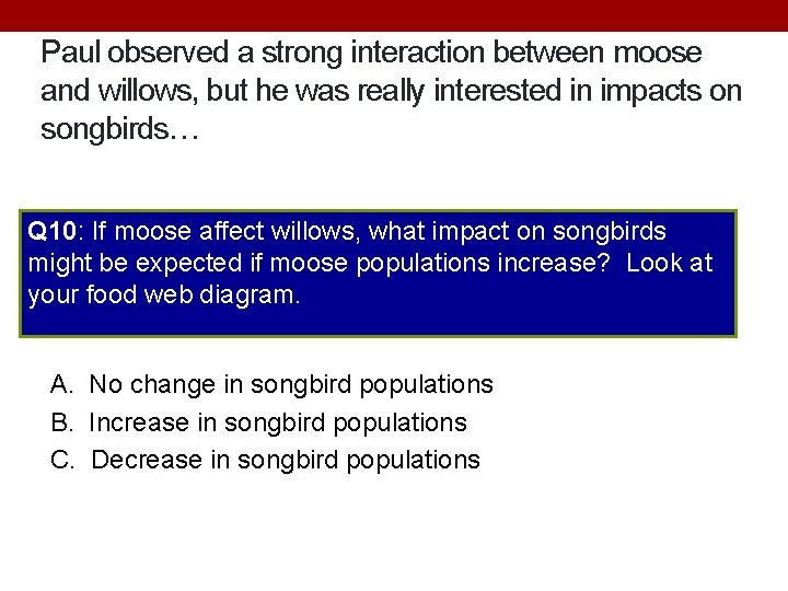 Paul observed a strong interaction between moose and willows, but he was really interested