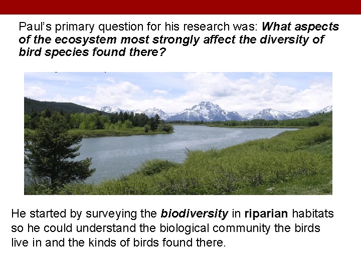 Paul’s primary question for his research was: What aspects of the ecosystem most strongly