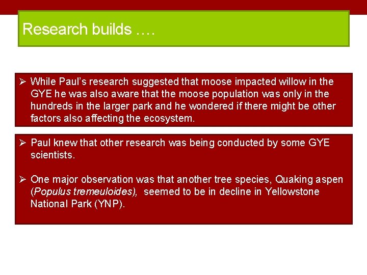 Research builds …. Ø While Paul’s research suggested that moose impacted willow in the