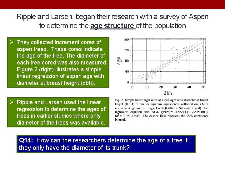 Ripple and Larsen. began their research with a survey of Aspen to determine the
