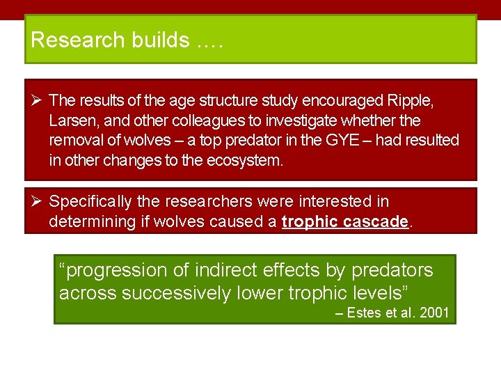 Research builds …. Ø The results of the age structure study encouraged Ripple, Larsen,