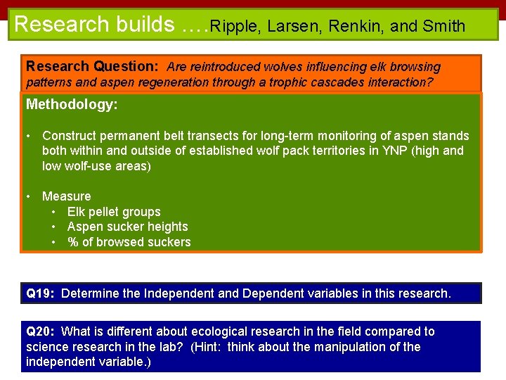 Research builds …. Ripple, Larsen, Renkin, and Smith Research Question: Are reintroduced wolves influencing
