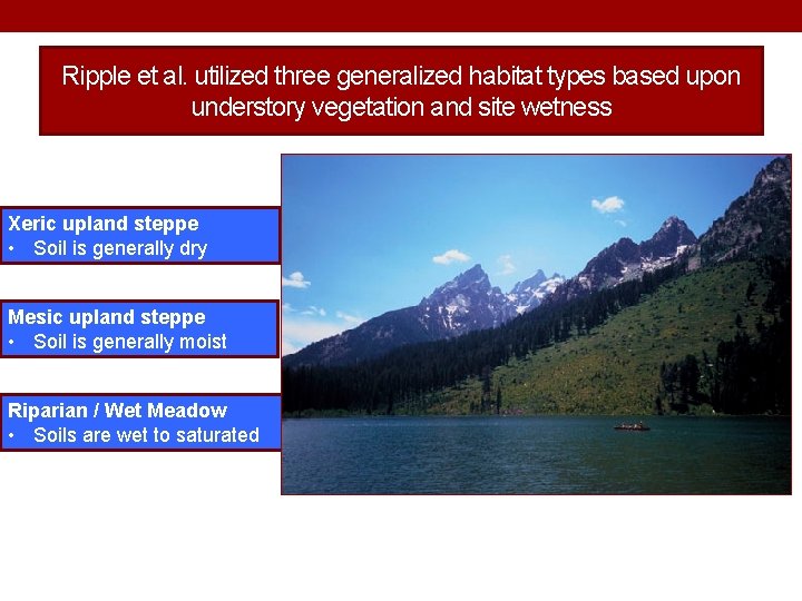 Ripple et al. utilized three generalized habitat types based upon understory vegetation and site
