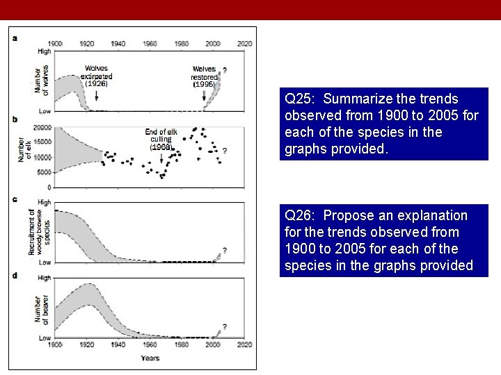 Q 25: Summarize the trends observed from 1900 to 2005 for each of the