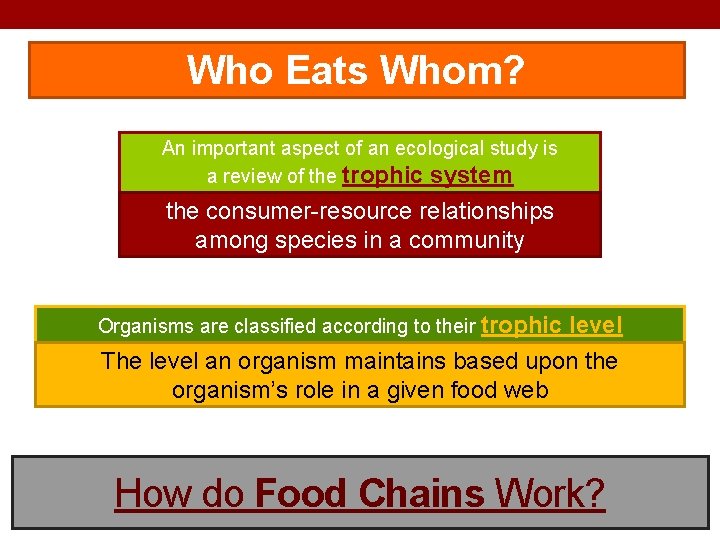 Who Eats Whom? An important aspect of an ecological study is a review of