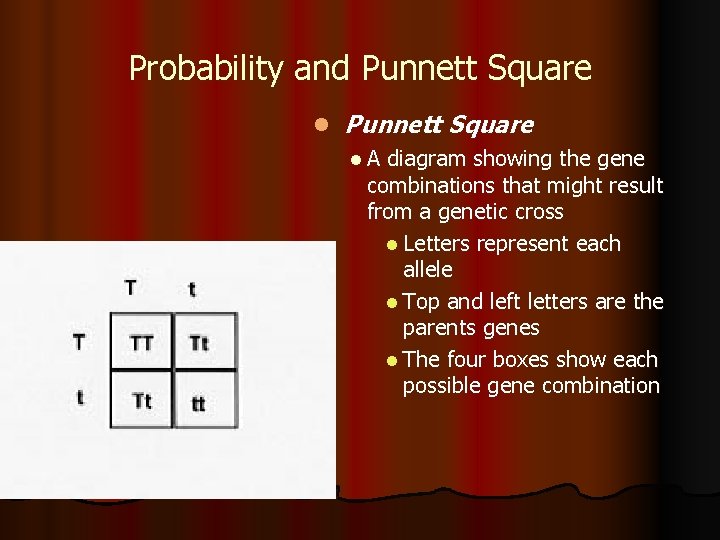 Probability and Punnett Square l A diagram showing the gene combinations that might result