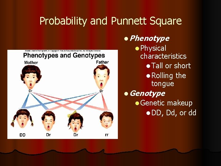 Probability and Punnett Square l Phenotype l Physical characteristics l Tall or short l