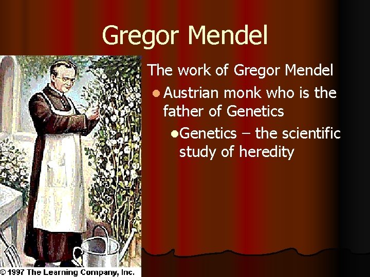 Gregor Mendel l The work of Gregor Mendel l Austrian monk who is the