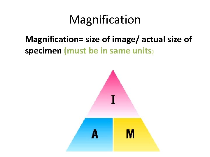 Magnification= size of image/ actual size of specimen (must be in same units) 