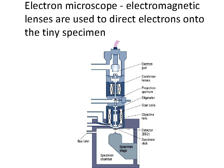 Electron microscope - electromagnetic lenses are used to direct electrons onto the tiny specimen