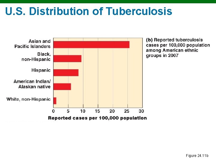 U. S. Distribution of Tuberculosis Figure 24. 11 b 