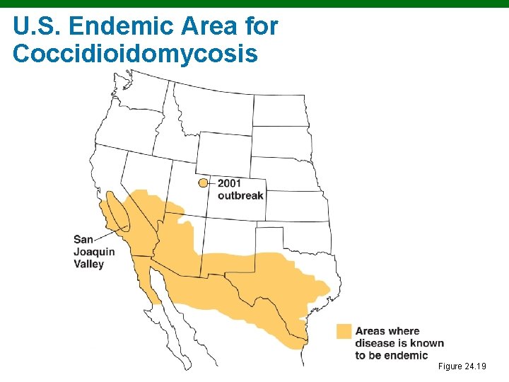 U. S. Endemic Area for Coccidioidomycosis Figure 24. 19 