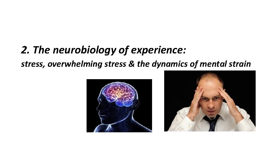 2. The neurobiology of experience: stress, overwhelming stress & the dynamics of mental strain