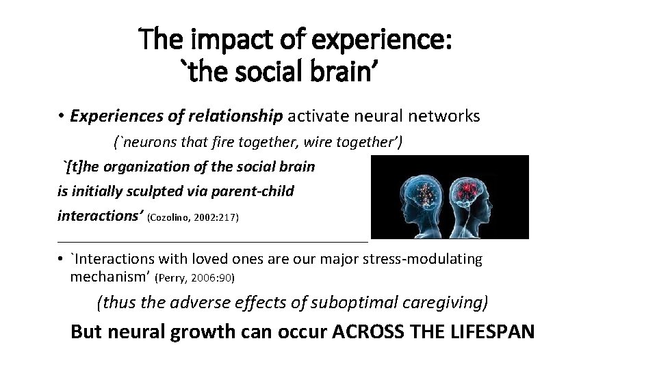 The impact of experience: `the social brain’ • Experiences of relationship activate neural networks