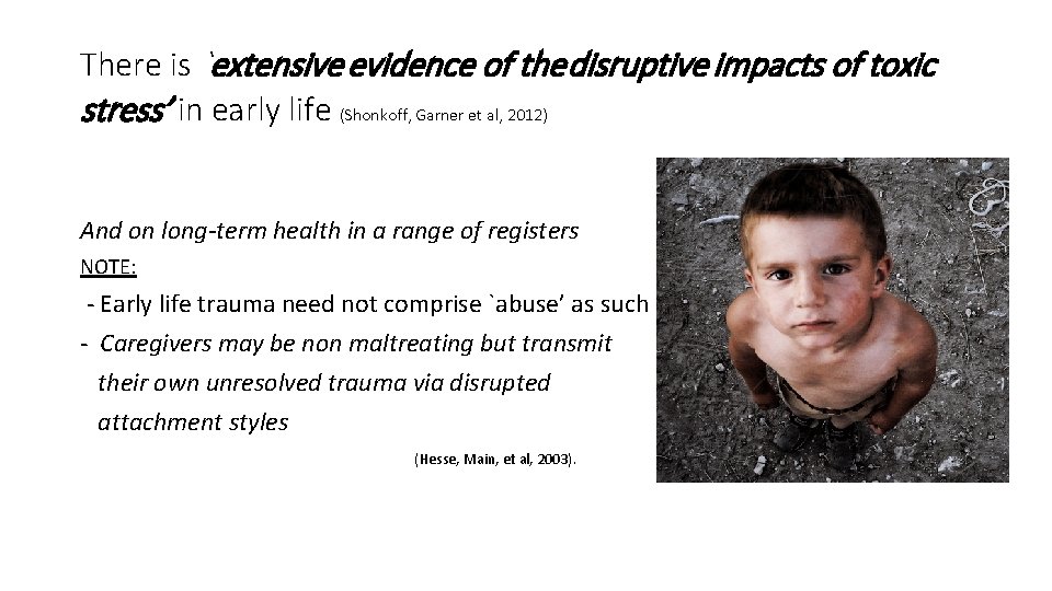 There is `extensive evidence of the disruptive impacts of toxic stress’ in early life